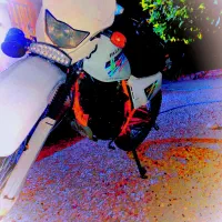 موتورفلات 200مدل1395سالم مدارک تکمیل،قیمت مقطوع 80