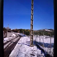 فروش-زمین-باغی-هزار-متر-در-شمال