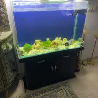 آکواریوم خم ده میل با کمد