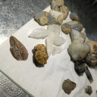 نگین و سنگ طبیعی تخفیف ویژه|زیورآلات و اکسسوری|مرودشت, ژیان|دیوار