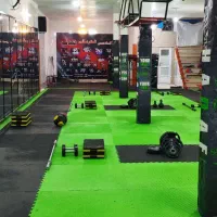 همکاری مربی ورزشی ( پیلاتس  رزمی ها و غیره )