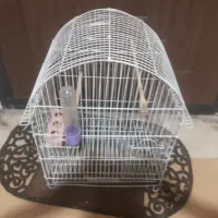 قفس پرنده