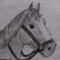 طراحی|تابلو، نقاشی، عکس|دشتابی, |دیوار