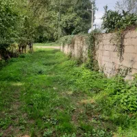 زمین باغی   داخل طرح