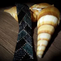 اکسسوری|بدلیجات|فلاورجان, |دیوار