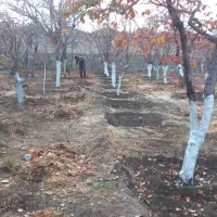 خدمات تخصصی باغبانی و فضای سبز