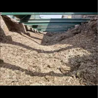 کودمرغی قفسی