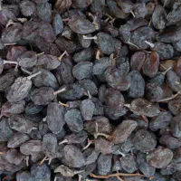 فخری و کشمش|خوردنی و آشامیدنی|میاندوآب, |دیوار