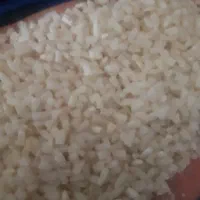 برنج نمیدونه طارم