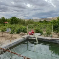 باغ بادام تیران و کرون