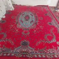 فرش دست دوم خانگی|فرش|نقده, |دیوار