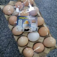 تخم مرغ محلی گلپایگان|خوردنی و آشامیدنی|قم, عمار یاسر|دیوار