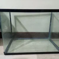 آکواریوم شرکتی
