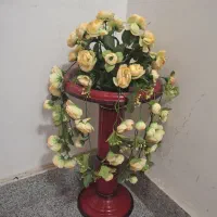 گل و درختچه تزئینی