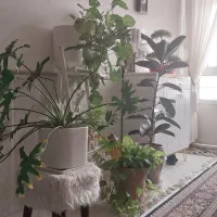 واگذاری سالن ارایشی زنانه دربعثت