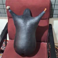 نی انبان|سازهای بادی|شیراز, بهارستان|دیوار