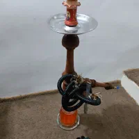 قلیون عناب چند ساله سیب|کلکسیون و سرگرمی|قم, چهل درخت‎|دیوار