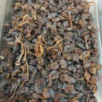 کشمش و میز|خوردنی و آشامیدنی|کرمان, |دیوار