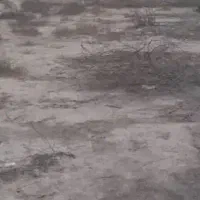 ۶۰۰متر زمین مسکونی پشتکوه جلابی