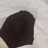 حلزون فروشی|خزنده|لاهیجان, گلستان|دیوار