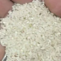 برنج لاشه درجه یک بشرط