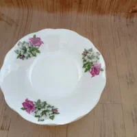 دیس آرکوپال فلر فرانسه نو