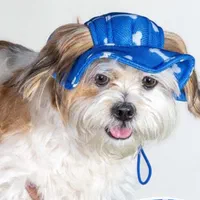 پت شاپ بمدیریت دکتر دامپزشک