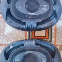پخش باند|صوتی و تصویری|تایباد, |دیوار