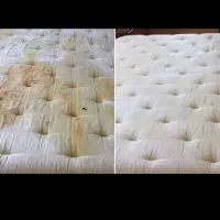 مبلشویی،صندلی ماشین،روشویی فرش|خدمات نظافت|سبزوار, قلعه‌نو دهزار|دیوار