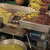 غوره داری xانگور داریxدستگاه آبگیریش رو پیدا کردی|ماشینآلات صنعتی|تهران, شهرک صدرا|دیوار