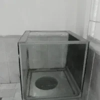 آکواریوم شیشه ضخیم