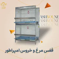 ٪پـرورش پرنده‌نـژاد سنگـین