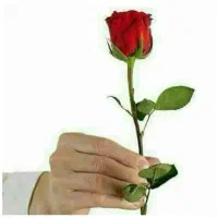 چاپ کتاب شما حتی ده جلد