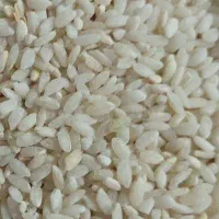 برنج چمپا چهل چشمه فیروزاباد
