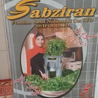 سبزی خرد کن سبزیران|خردکن، آسیاب، غذاساز|قزوین, |دیوار