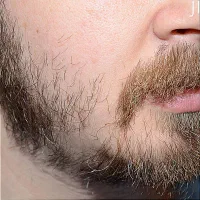 دیگه کوسه بودن بسه