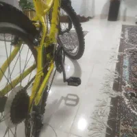 دوچرخه ویوا ۲۴ اینچ|دوچرخه، اسکیت، اسکوتر|بوشهر, |دیوار