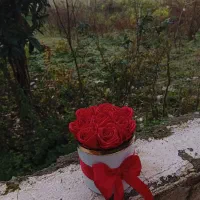 رز جاودان|گل مصنوعی|کوچصفهان, |دیوار