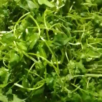 سبزی خانگی خورد شده ۶۵