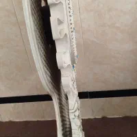 ساعت|ساعت دیواری و تزئینی|قم, قلعه کامکار|دیوار