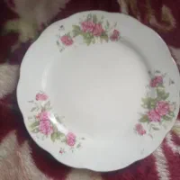 ظروف چینی