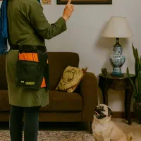 آموزش مربی سگ مطابق با سبک زندگی شما|خدمات آموزشی|مشهد, اقبال|دیوار