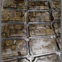 فروش دلمه برگ مو/دلمه کلم /کلی جزئی/کیلو350هزار