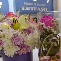 آموزش زبان در ولیعصر