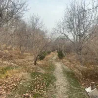 10000متر-با-بنای-احداثی-دیوار-کشی-شده-قدیمی