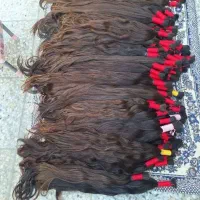 کوتاهی مو|خدمات آرایشگری و زیبایی|لامرد, |دیوار