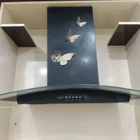 هود سالم ولی صدا