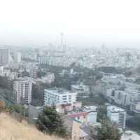 همخونه میشم