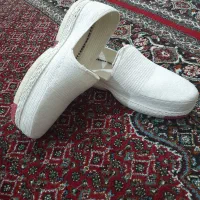 کلاش درجه یک و شیک