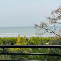 آپارتمان ساحلی  پلاک یک ۳۰۰ متری ۳ خواب